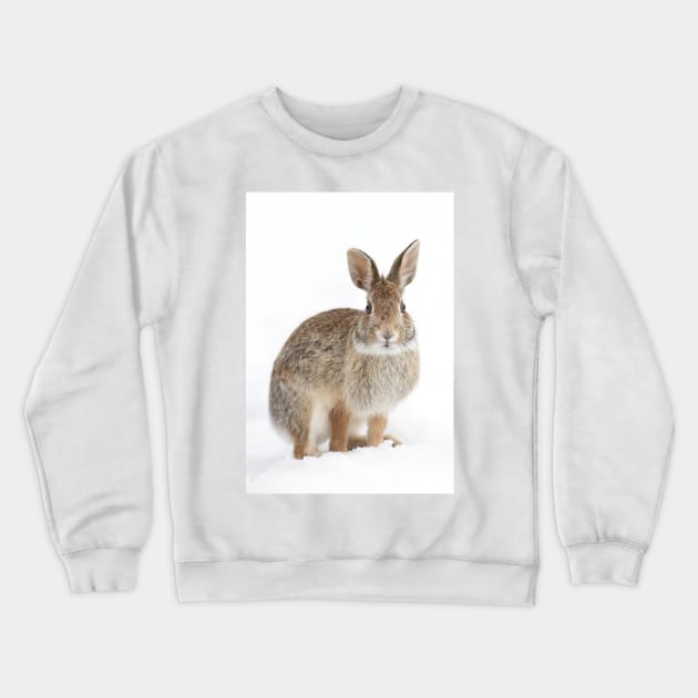 Eastern Cottontail rabbit Crewneck Sweatshirt by Jim Cumming